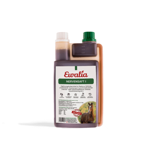 ewalia_nervensaft_greemillaa_pferdesport