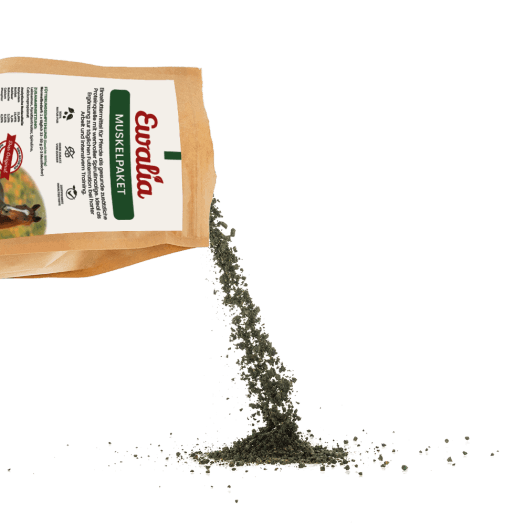 ewalia_muskelpaket_greemillaa_pferdesport