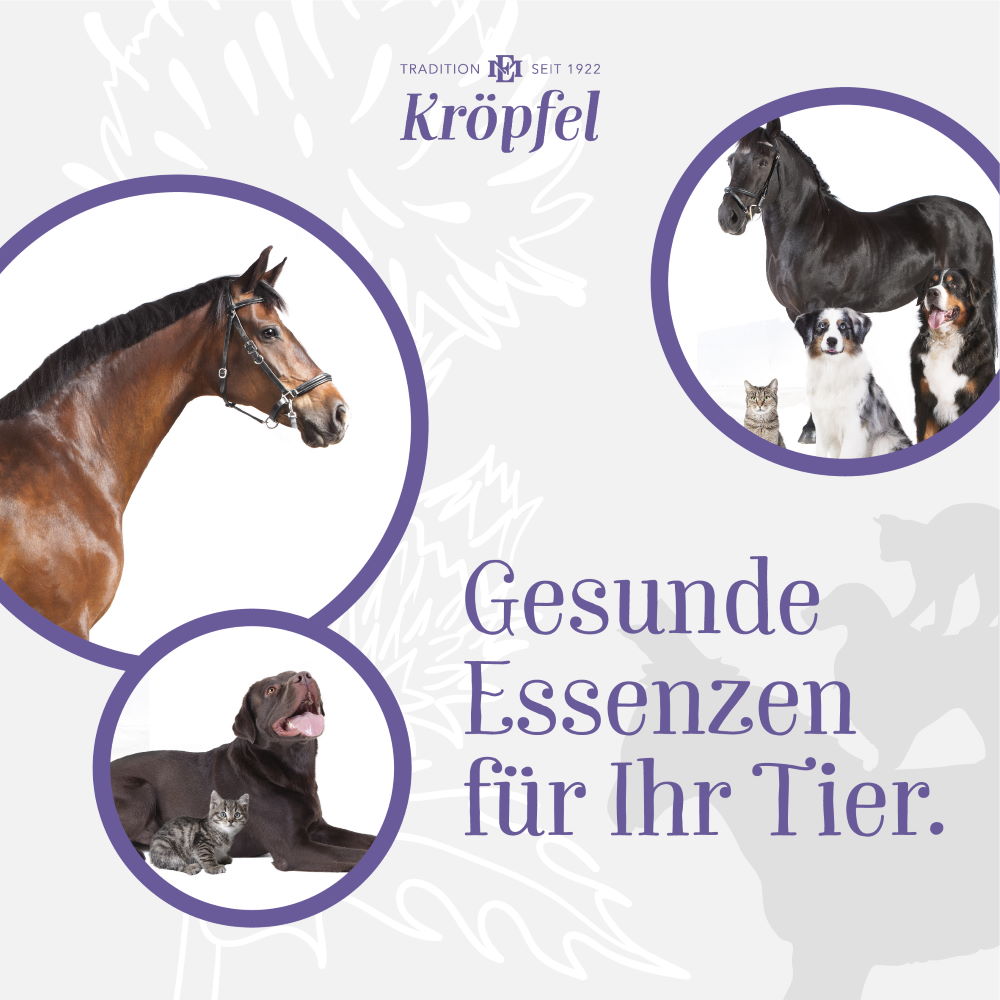 Kröpfel Mariendistelöl