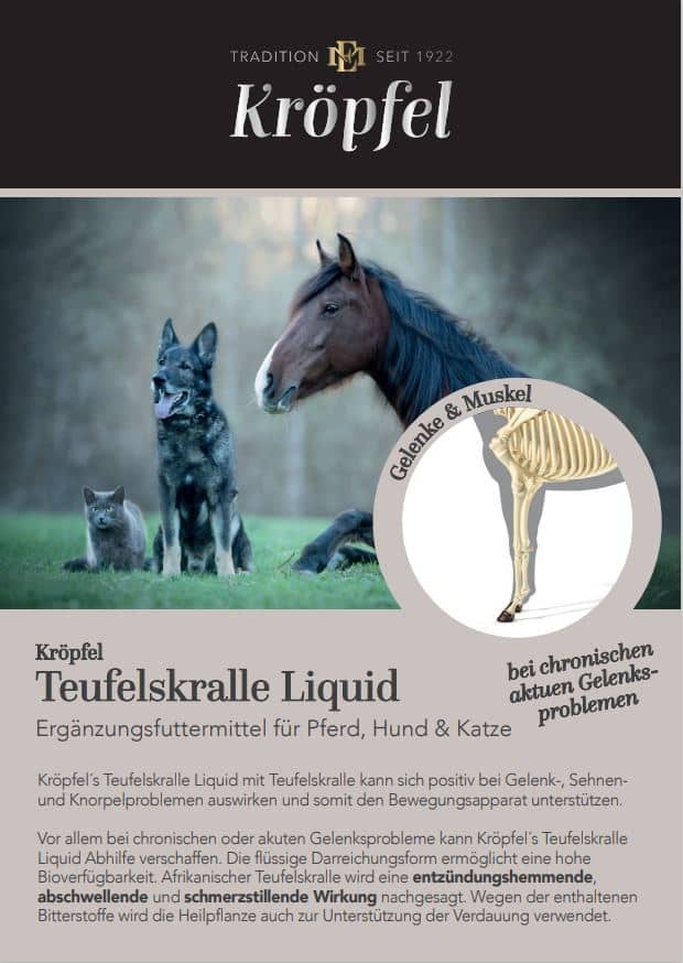 Kröpfel Teufelskralle Liquid