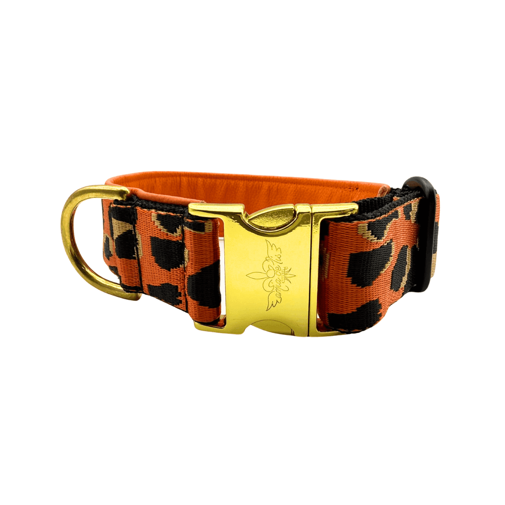 Amia De Lis Hundehalsband Leoliebe orange