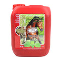 Kevin Bacon's Lucy Diamond Green Shampoo 5L