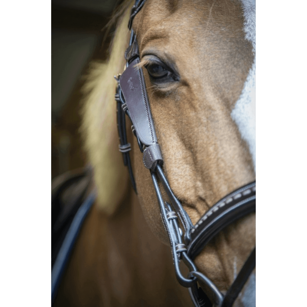 Penelope Scheuklappen Blinkers