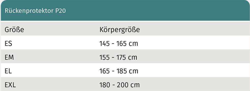 Swing Rückenprotektor P20 Erwachsene