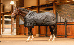 Trust Stalldecke Tetris 200g