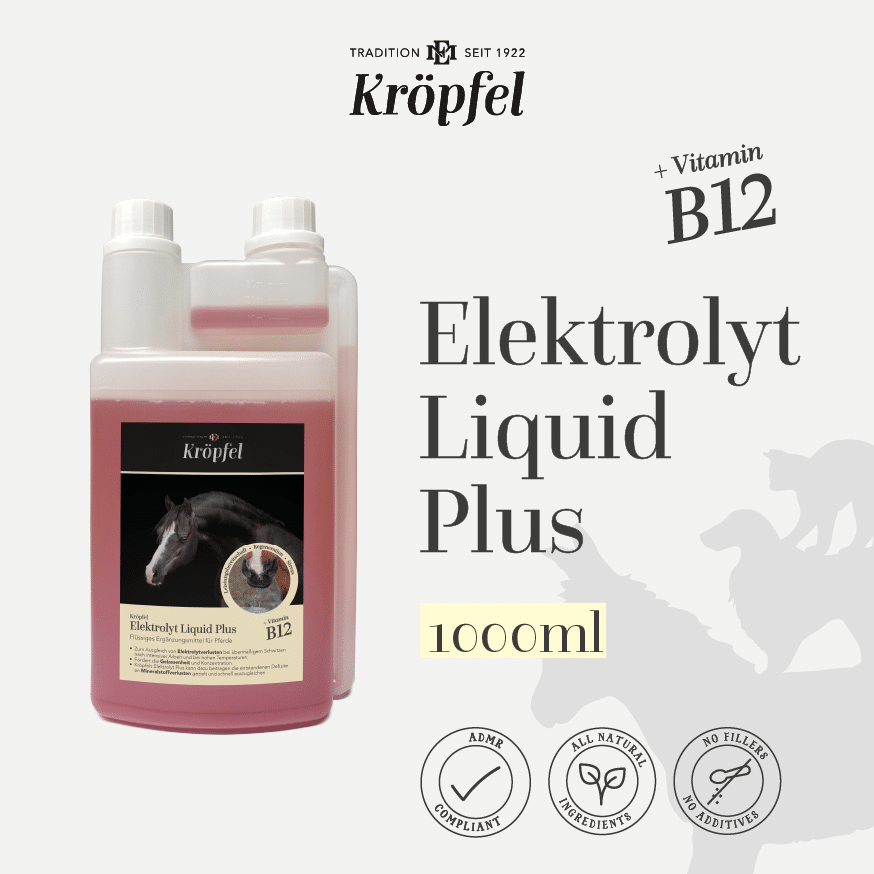 Kröpfel Elektrolyt Liquid Plus