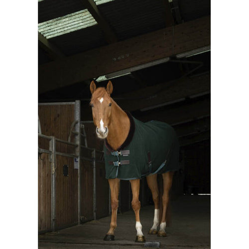 EquiThème Teddy Fleece Rug