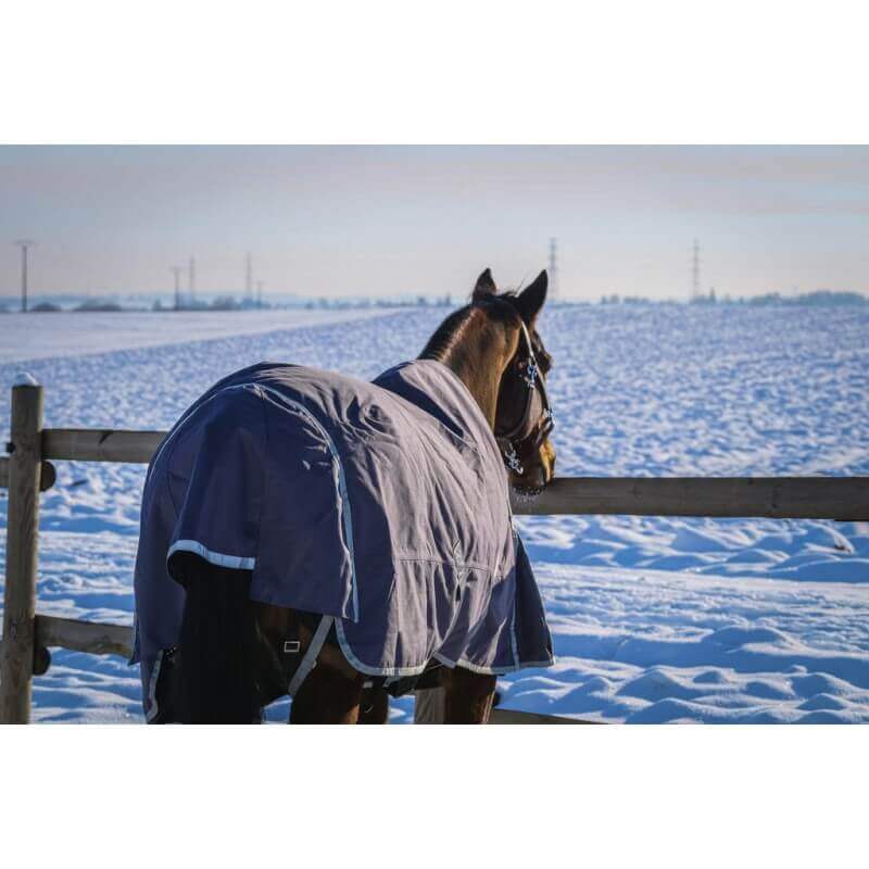 outdoordecke_recycelt_equitheme_tyrex_greemillaa-pferdesport