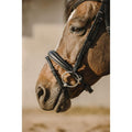 Bridle Bat