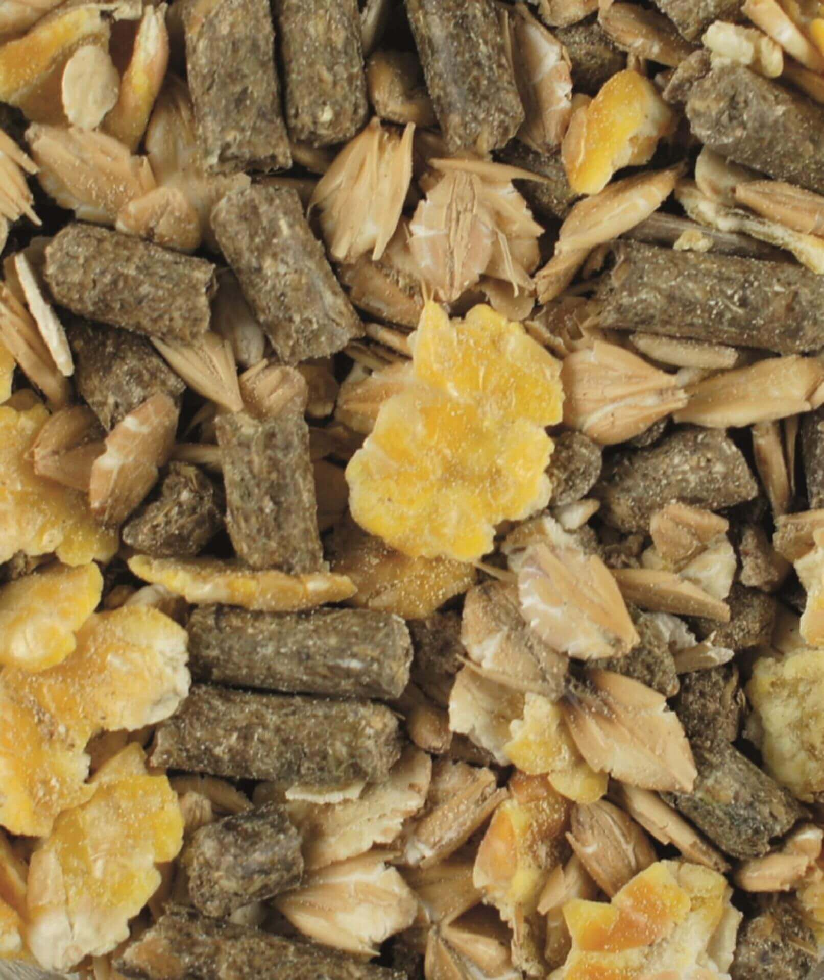 Vitalmix Fohlen 20 kg