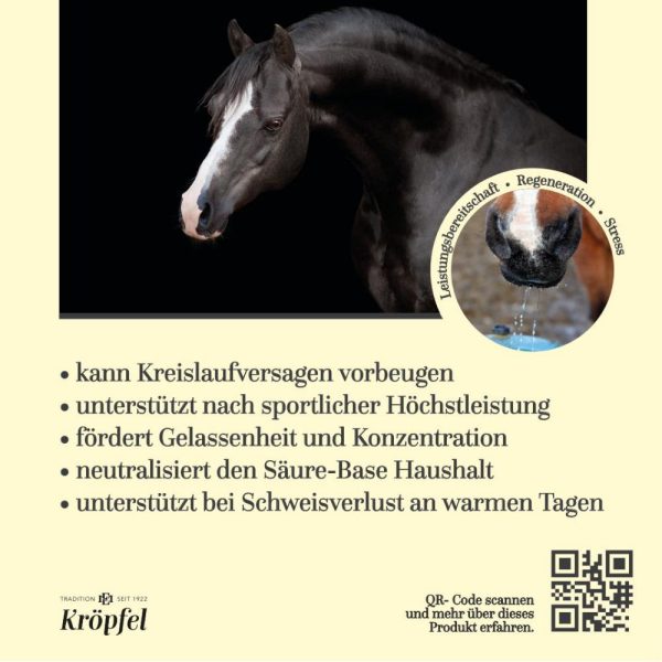Kröpfel Elektrolyt Liquid Plus
