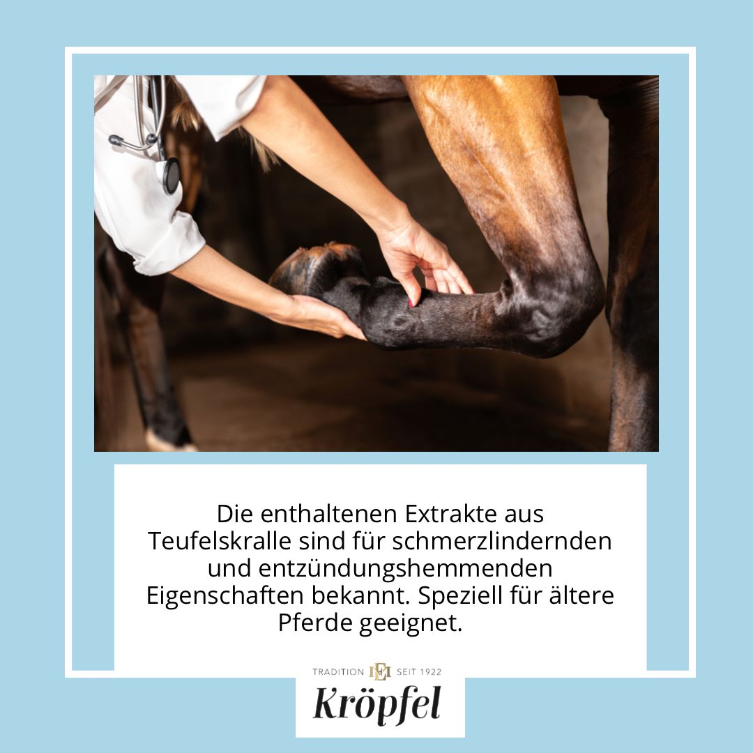 Kröpfel All Around Senior Liquid