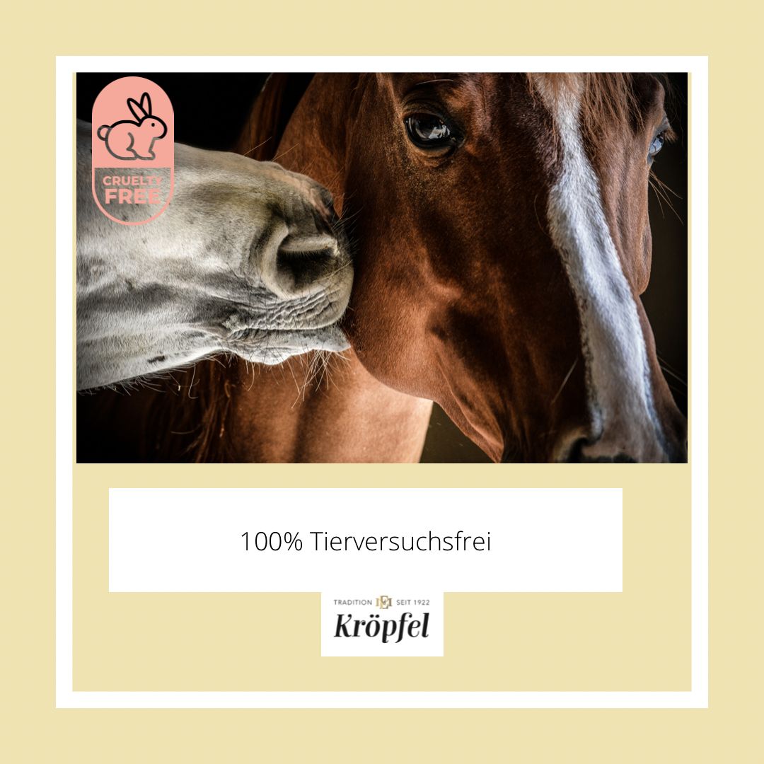 Kröpfel Elektrolyt Liquid Plus