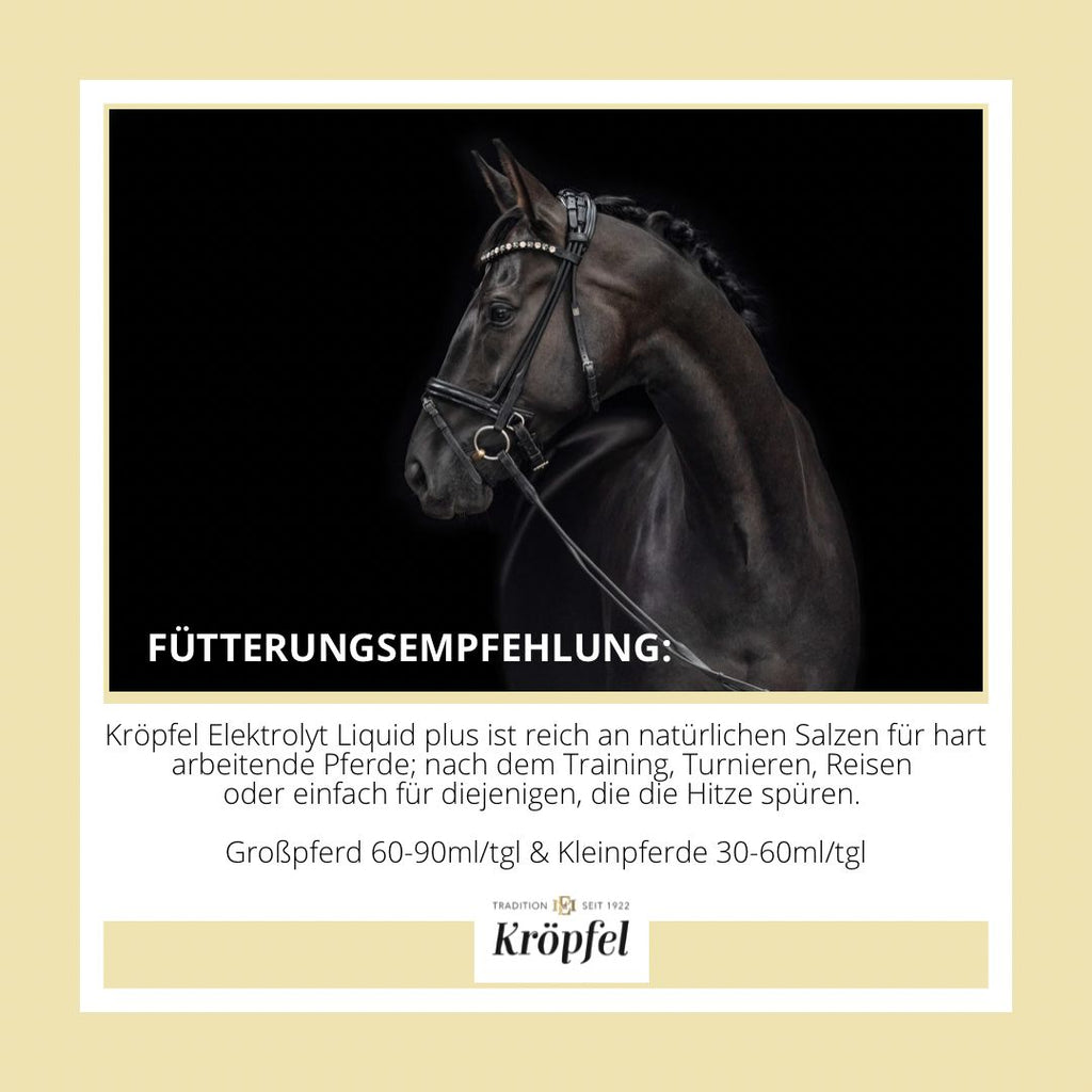 Kröpfel Elektrolyt Liquid Plus