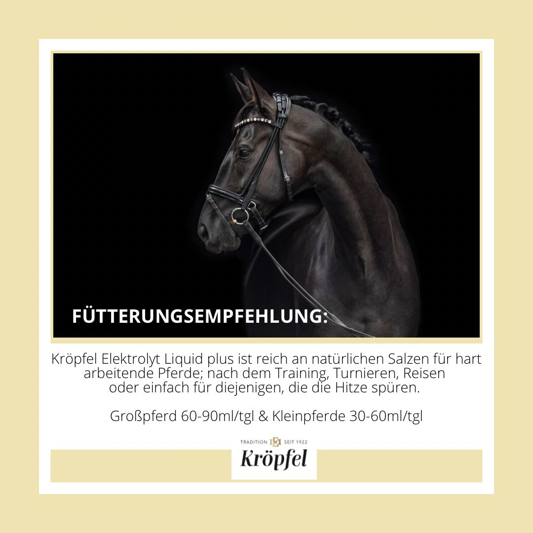 Kröpfel Elektrolyt Liquid Plus