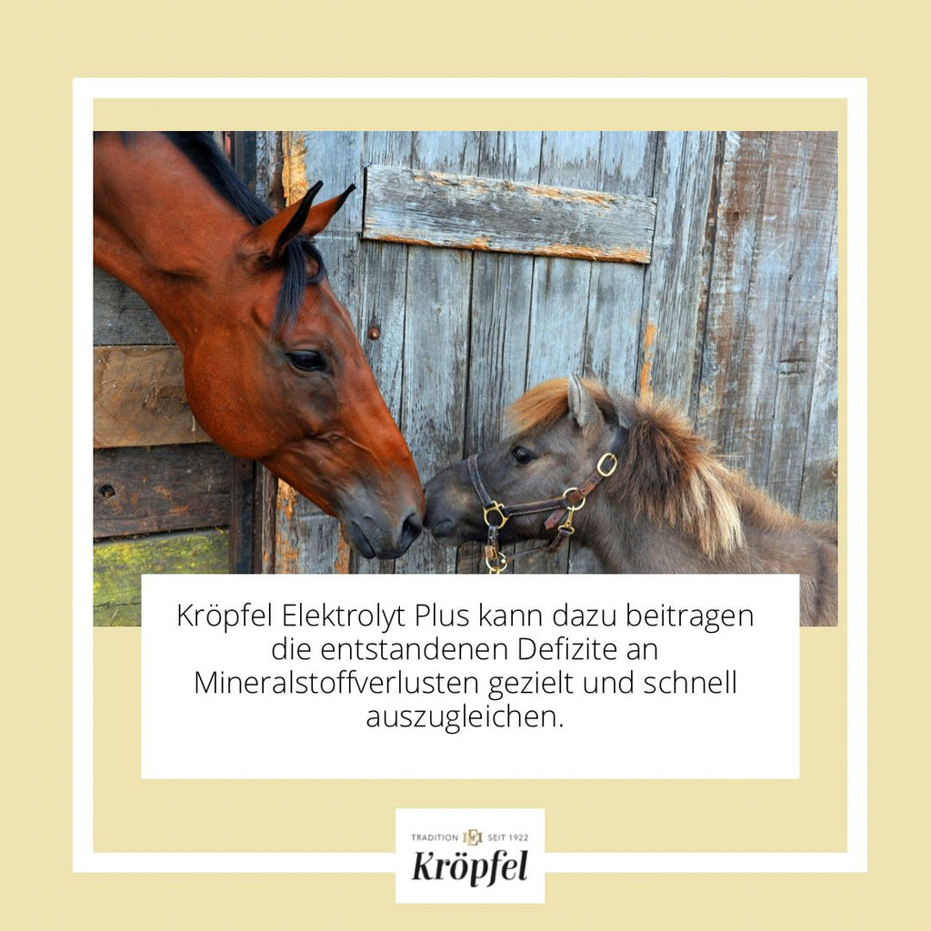 Kröpfel Elektrolyt Liquid Plus
