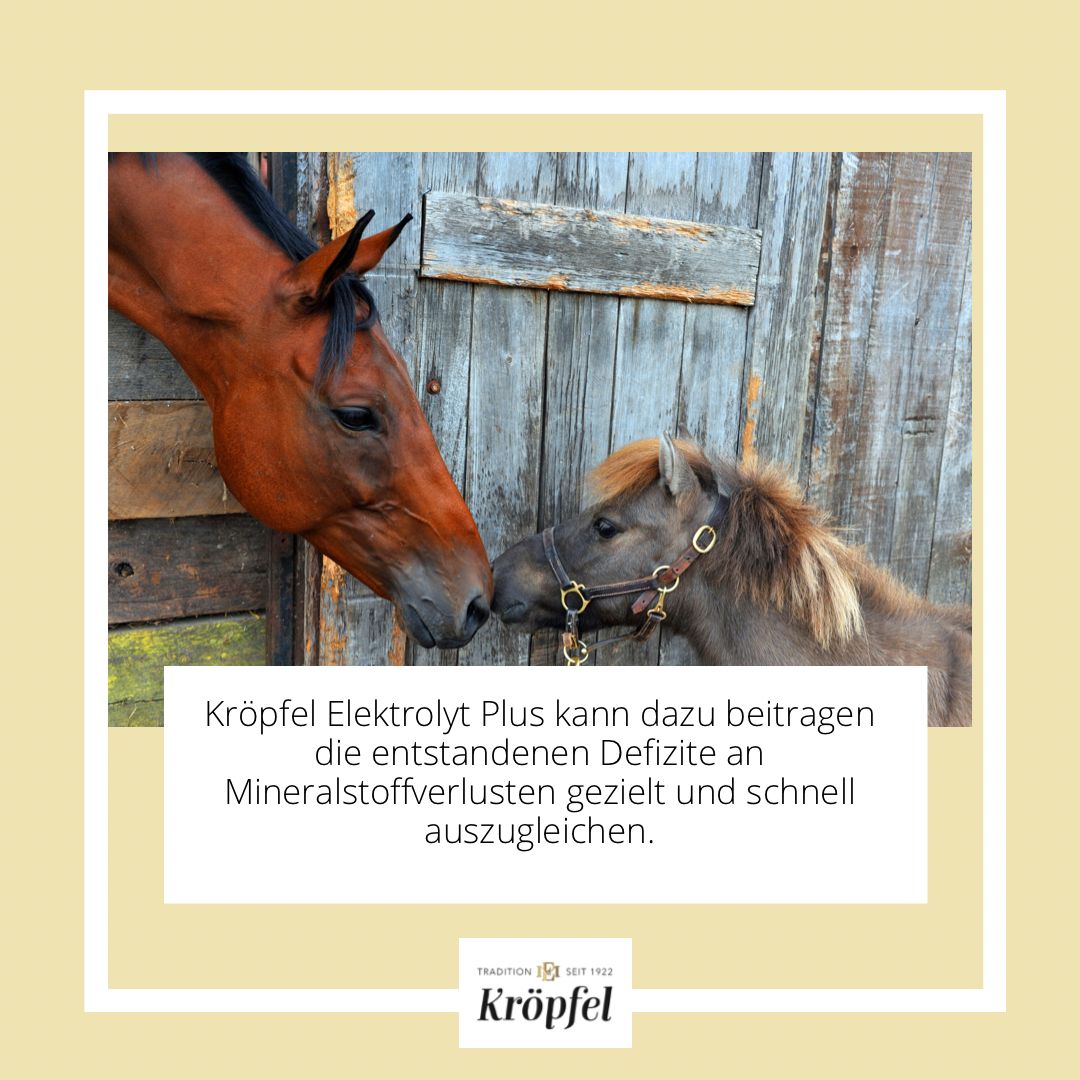 Kröpfel Elektrolyt Liquid Plus