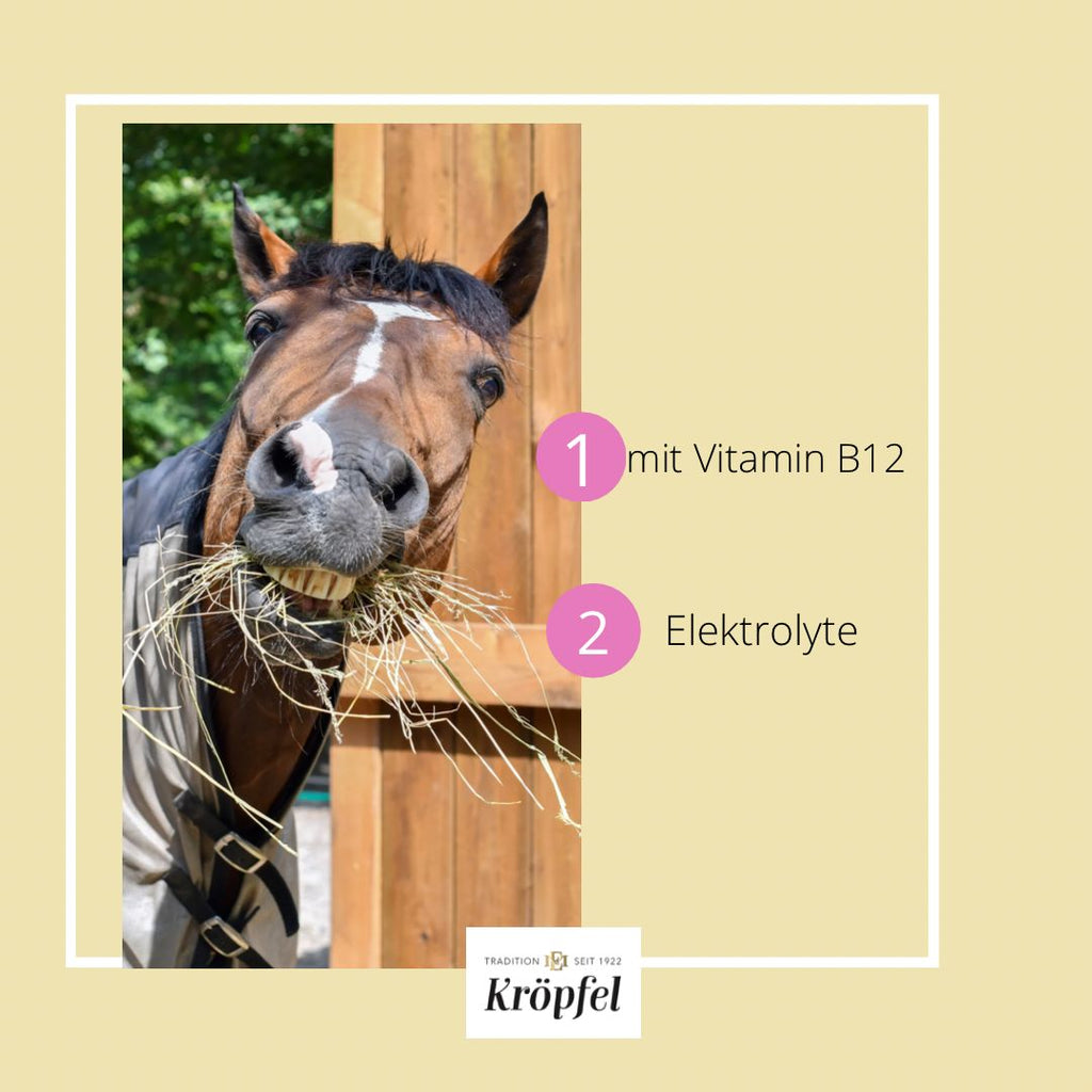 Kröpfel Elektrolyt Liquid Plus