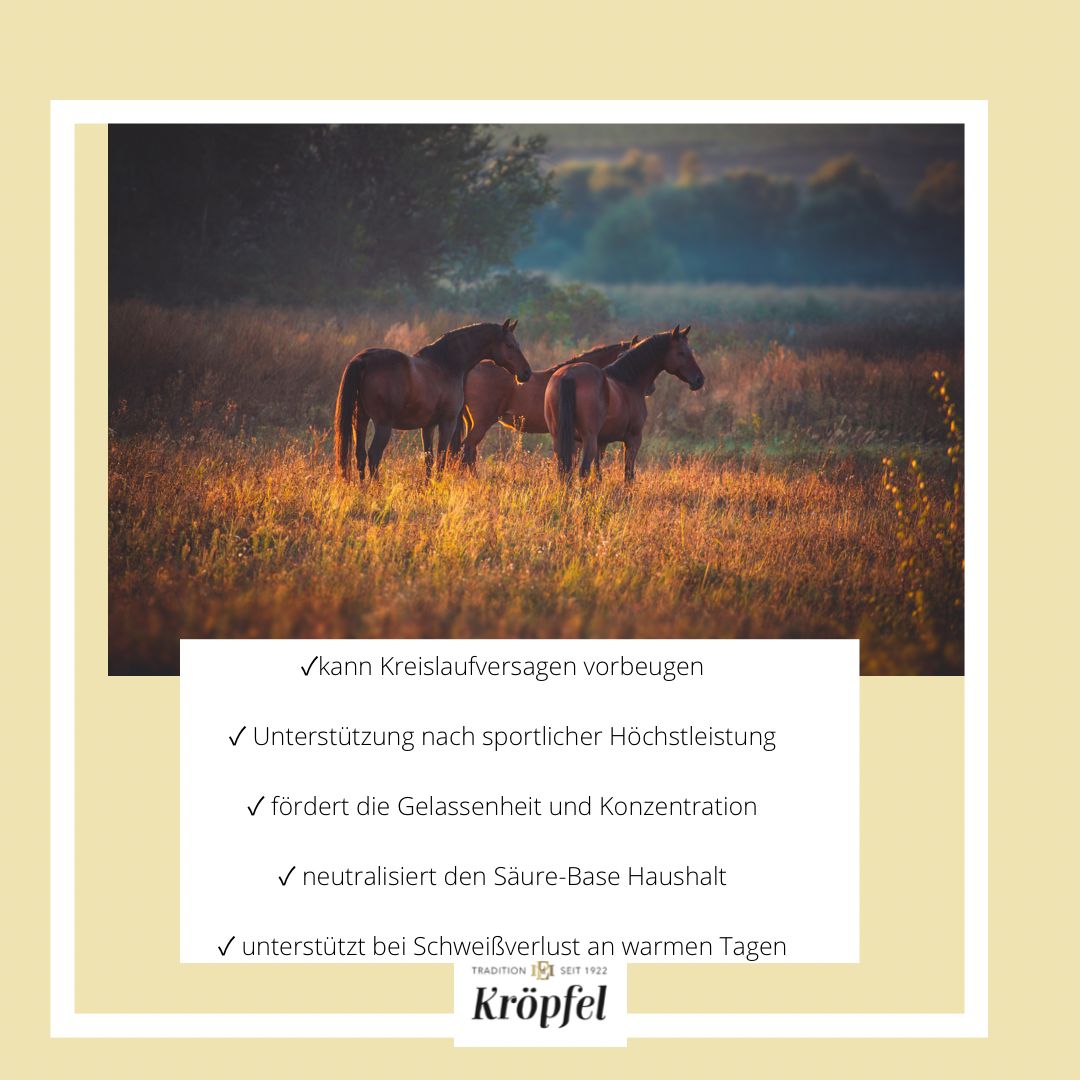 Kröpfel Elektrolyt Liquid Plus
