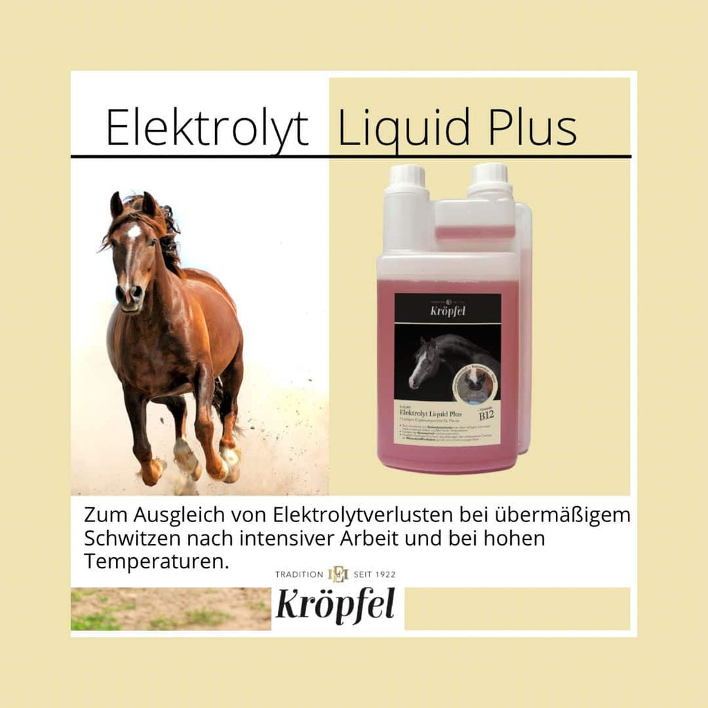 Kröpfel Elektrolyt Liquid Plus