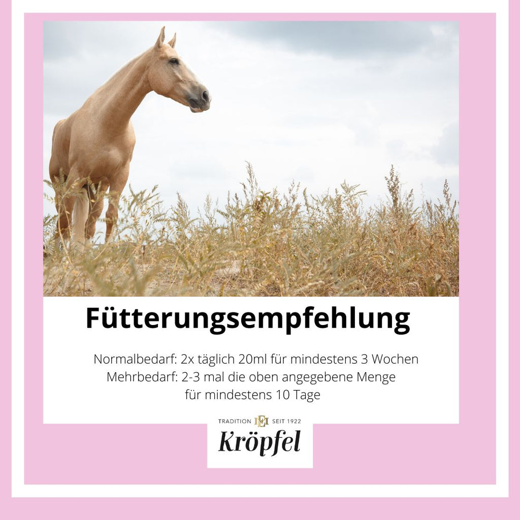 Kröpfel Immun & Fit