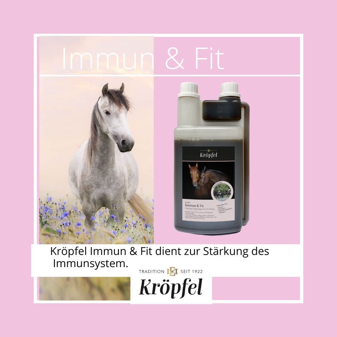 Kröpfel Immun & Fit