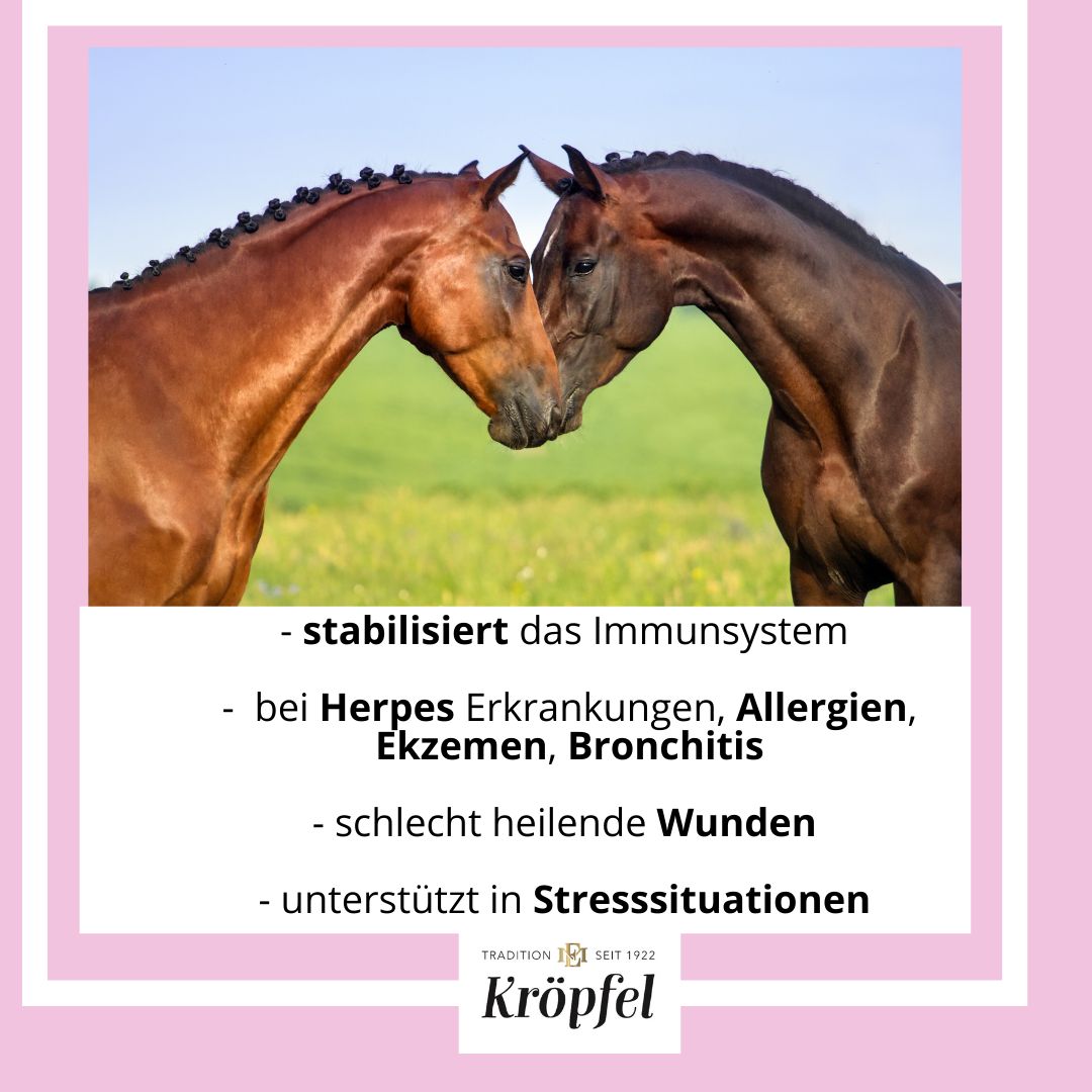 Kröpfel Immun & Fit