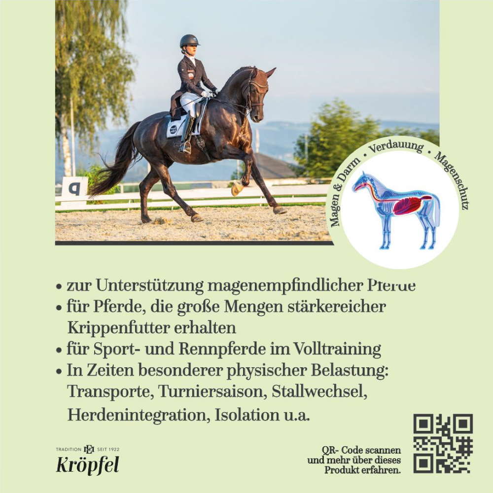 Kröpfel Magen Exzellent