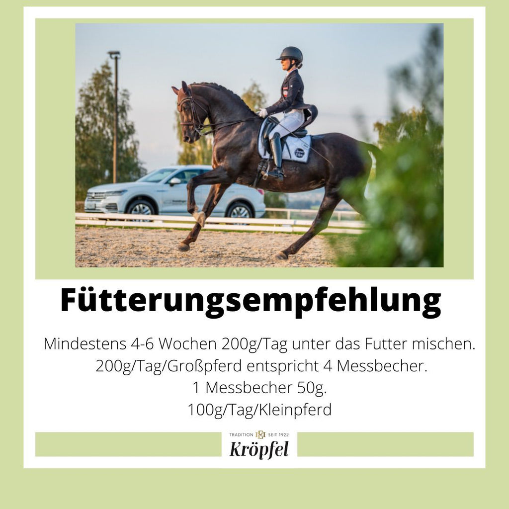 Kröpfel Magen Exzellent