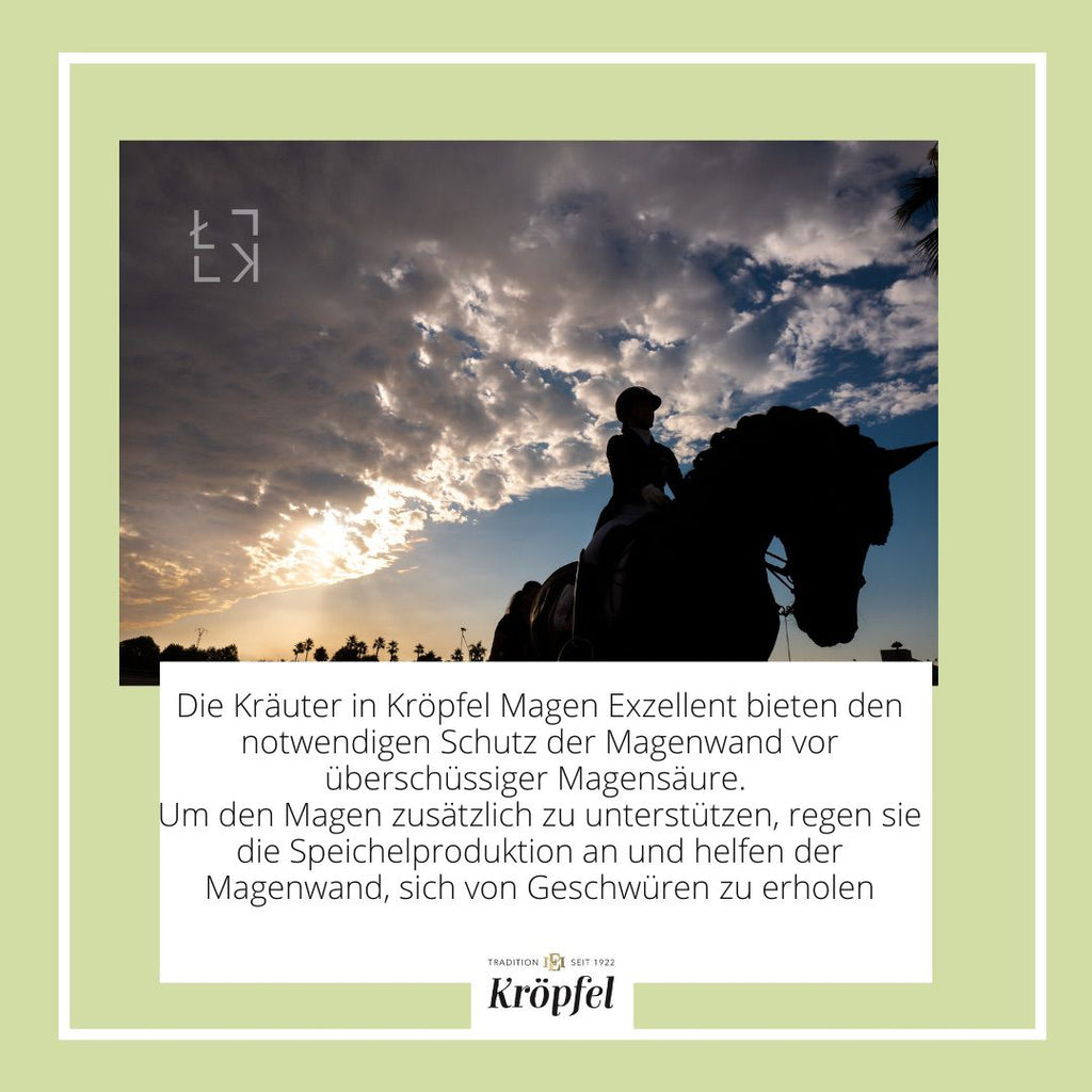 Kröpfel Magen Exzellent