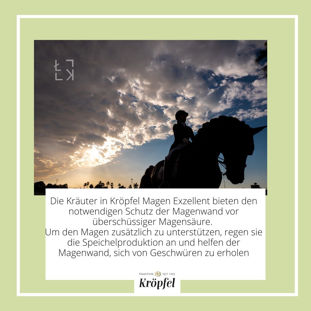 Kröpfel Magen Exzellent