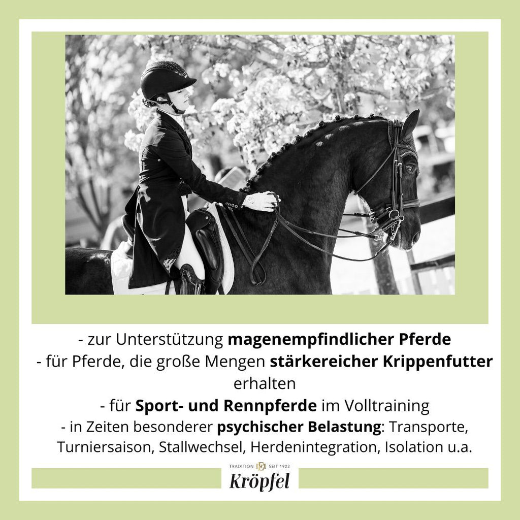 Kröpfel Magen Exzellent