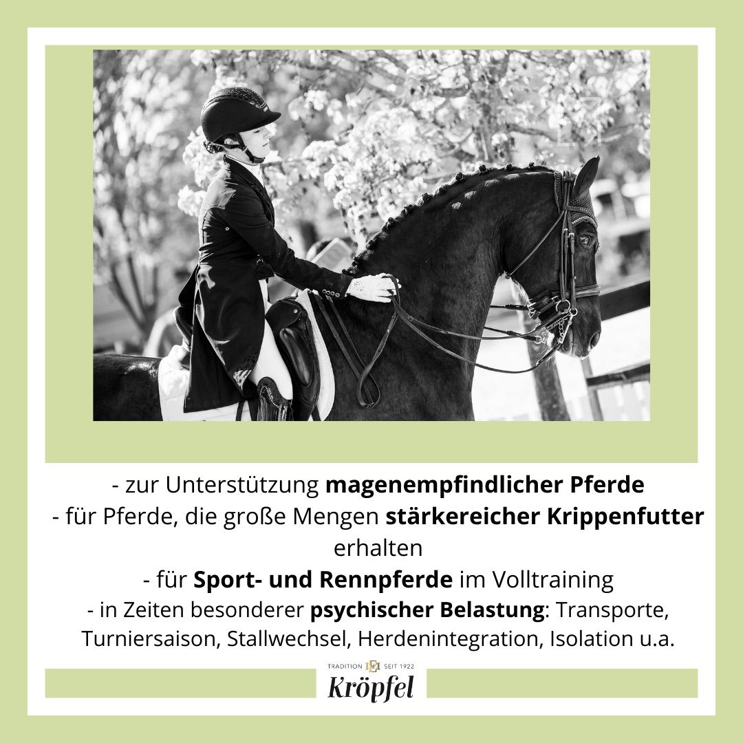 Kröpfel Magen Exzellent