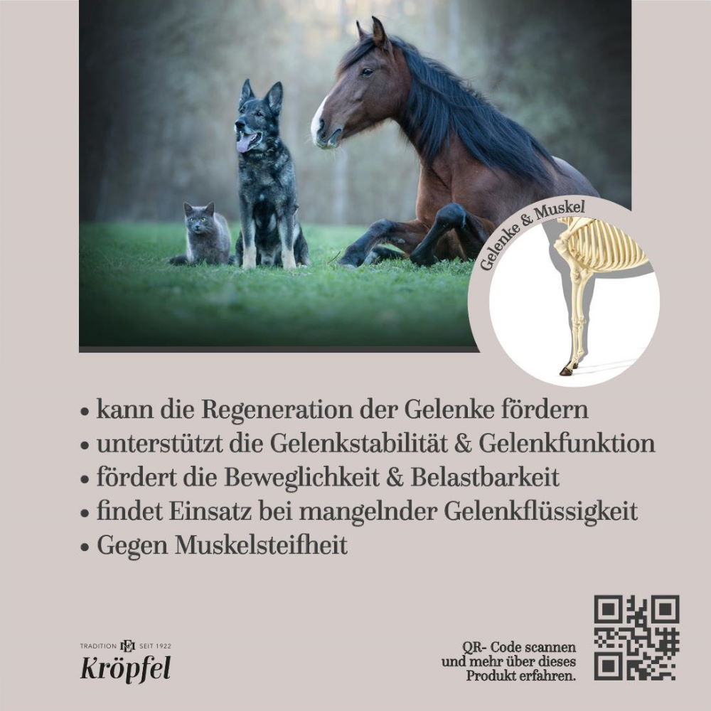Kröpfel Teufelskralle Liquid