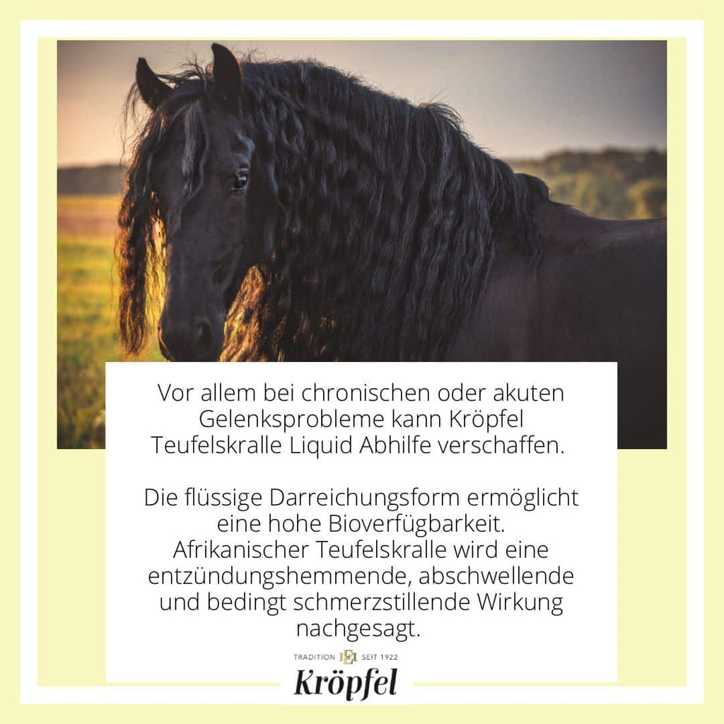 Kröpfel Teufelskralle Liquid