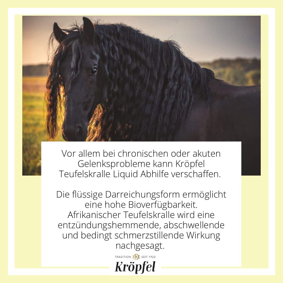 Kröpfel Teufelskralle Liquid