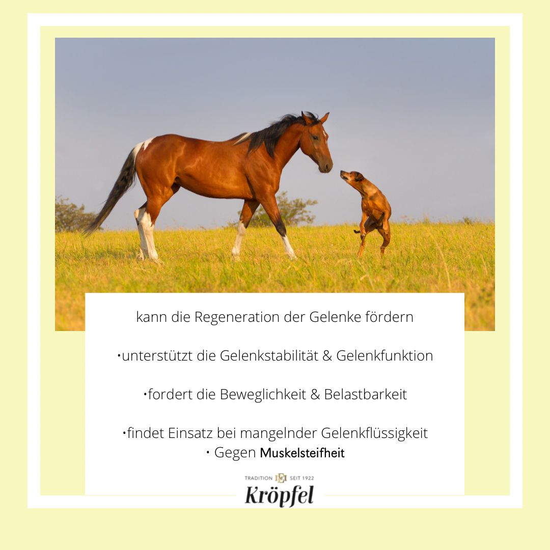 Kröpfel Teufelskralle Liquid
