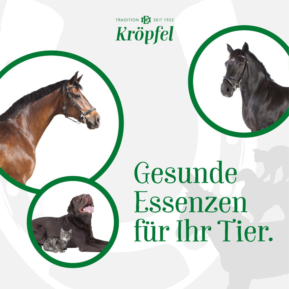 Kröpfel Hoof Oil