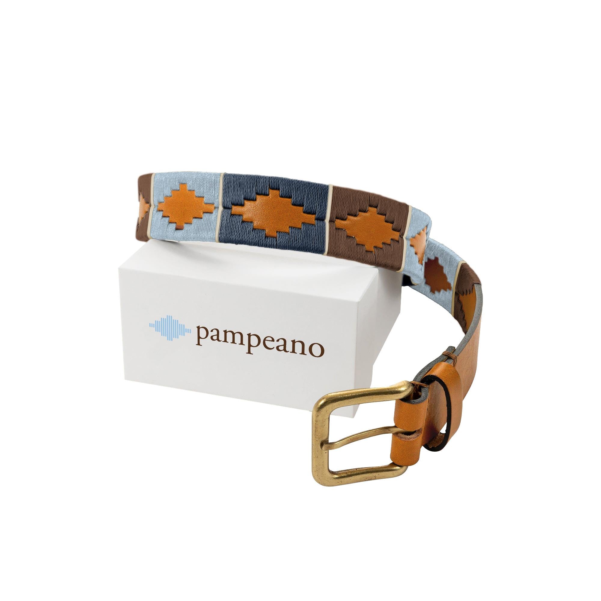 Pampeano Belt Arenoso