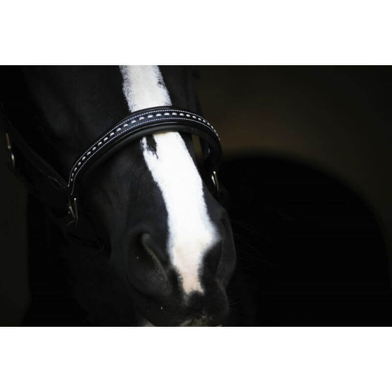 Penelope Lederhalfter „Point Sellier“ schwarz