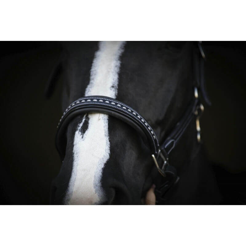 Penelope Lederhalfter „Point Sellier“ schwarz