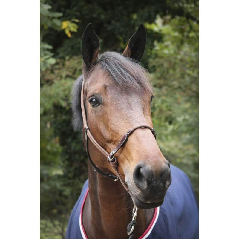 Penelope Rope Halfter