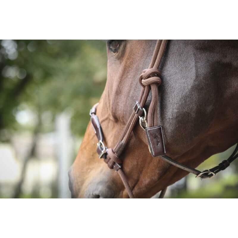 Penelope Rope Halfter