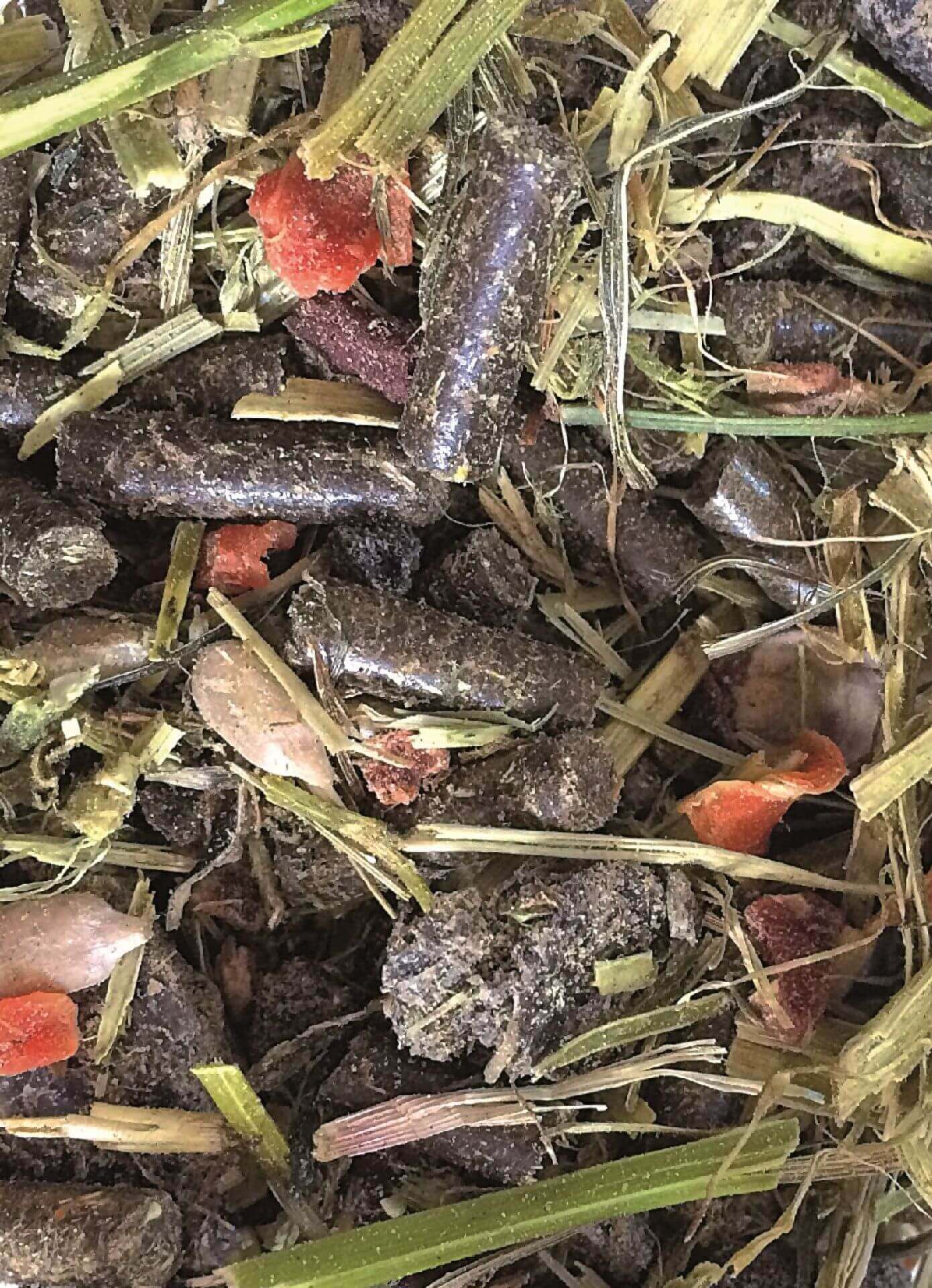 LEXA Strukturmix Getreidefrei 15kg